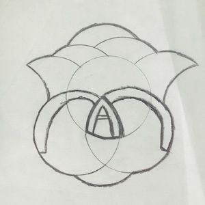 Meet your Posher, Allisa